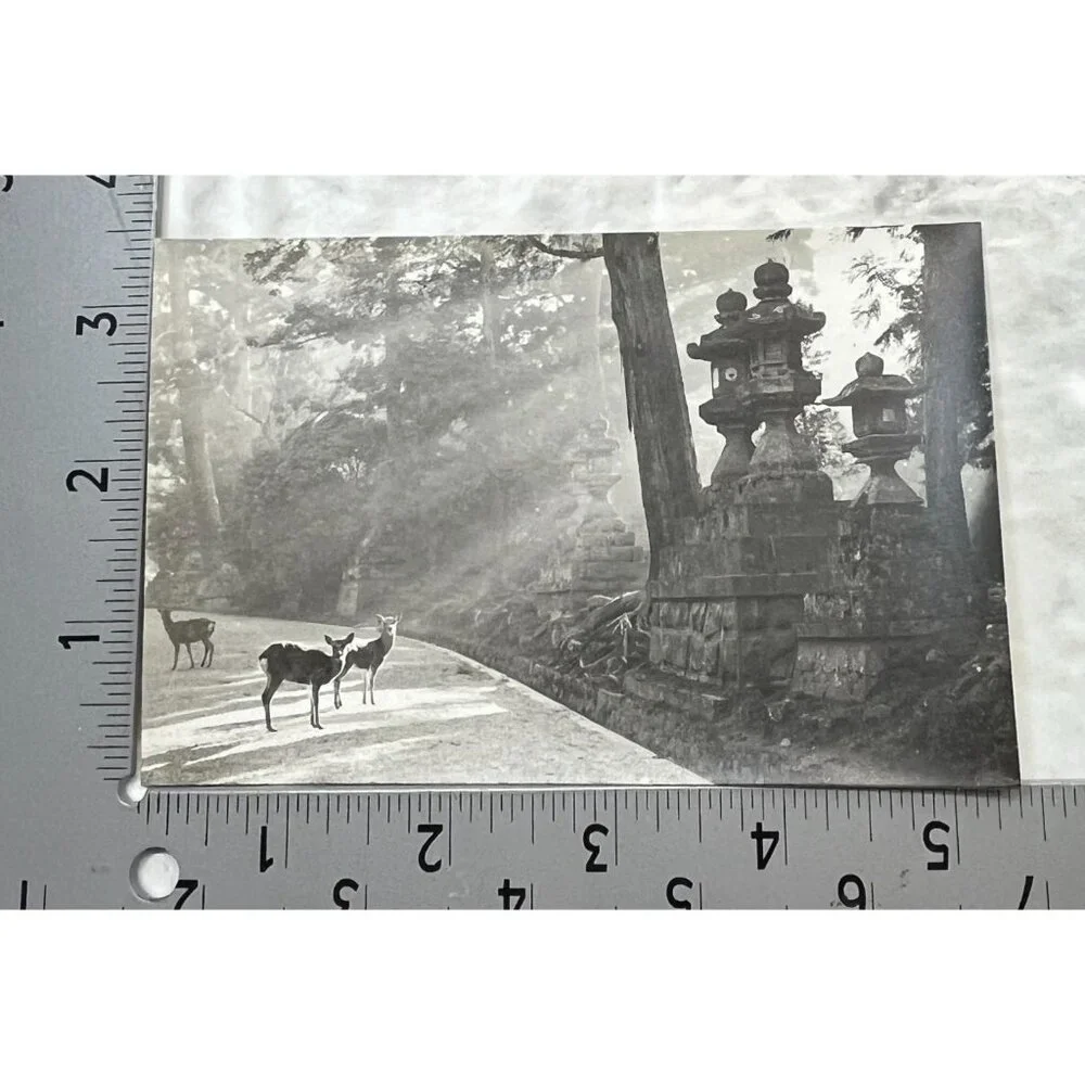 Nara-Park Japan RPPC Postcard Vintage Set of 9 Travel Souvenir Photos 1940s